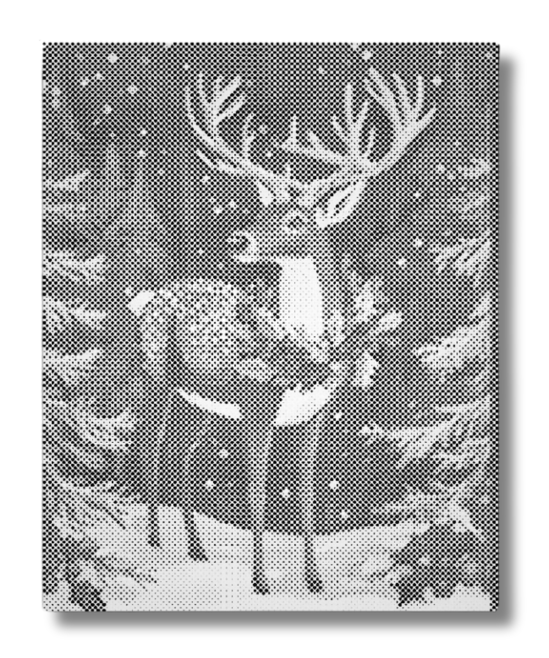 prickmålning av renar i vinterskog ståtliga djur i snötäckt landskap