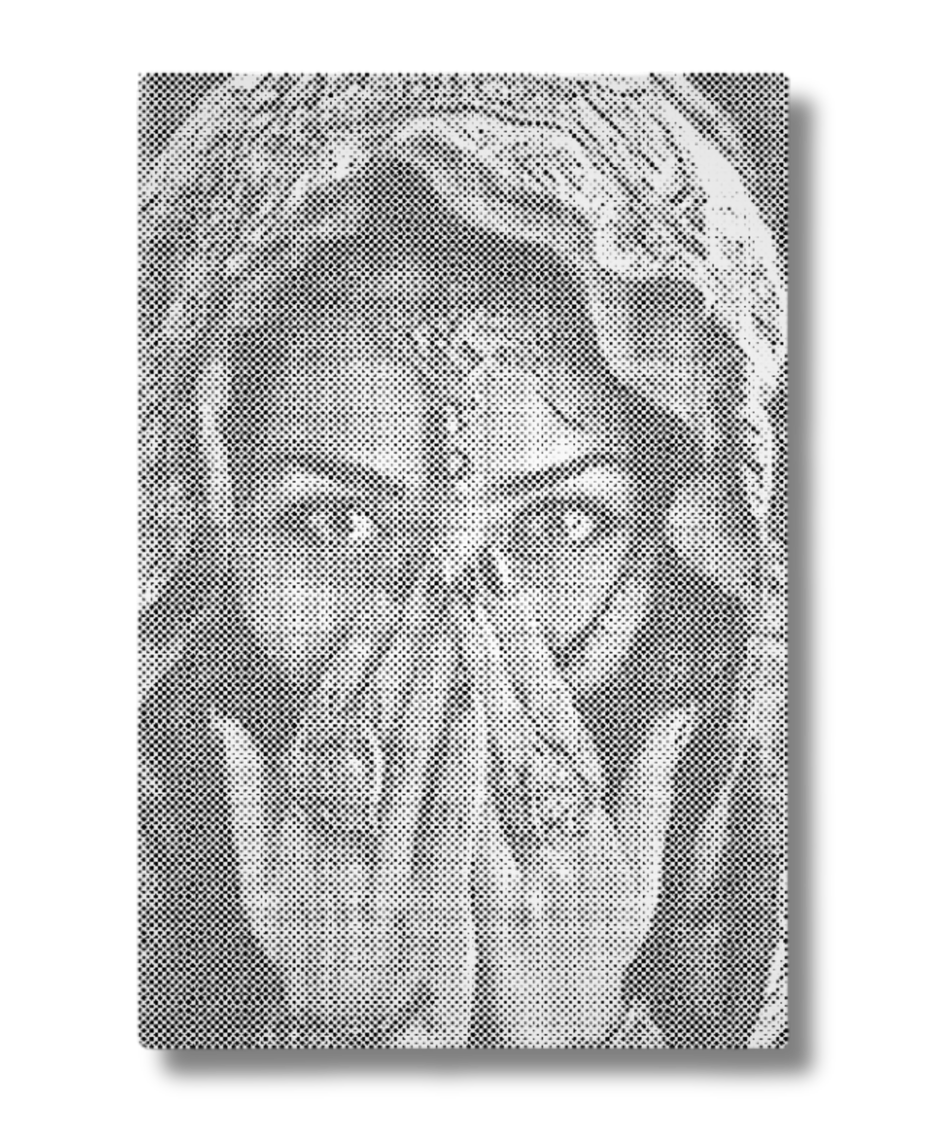 Ögonen som talar – svartvitt prickmålning-porträtt av kvinna