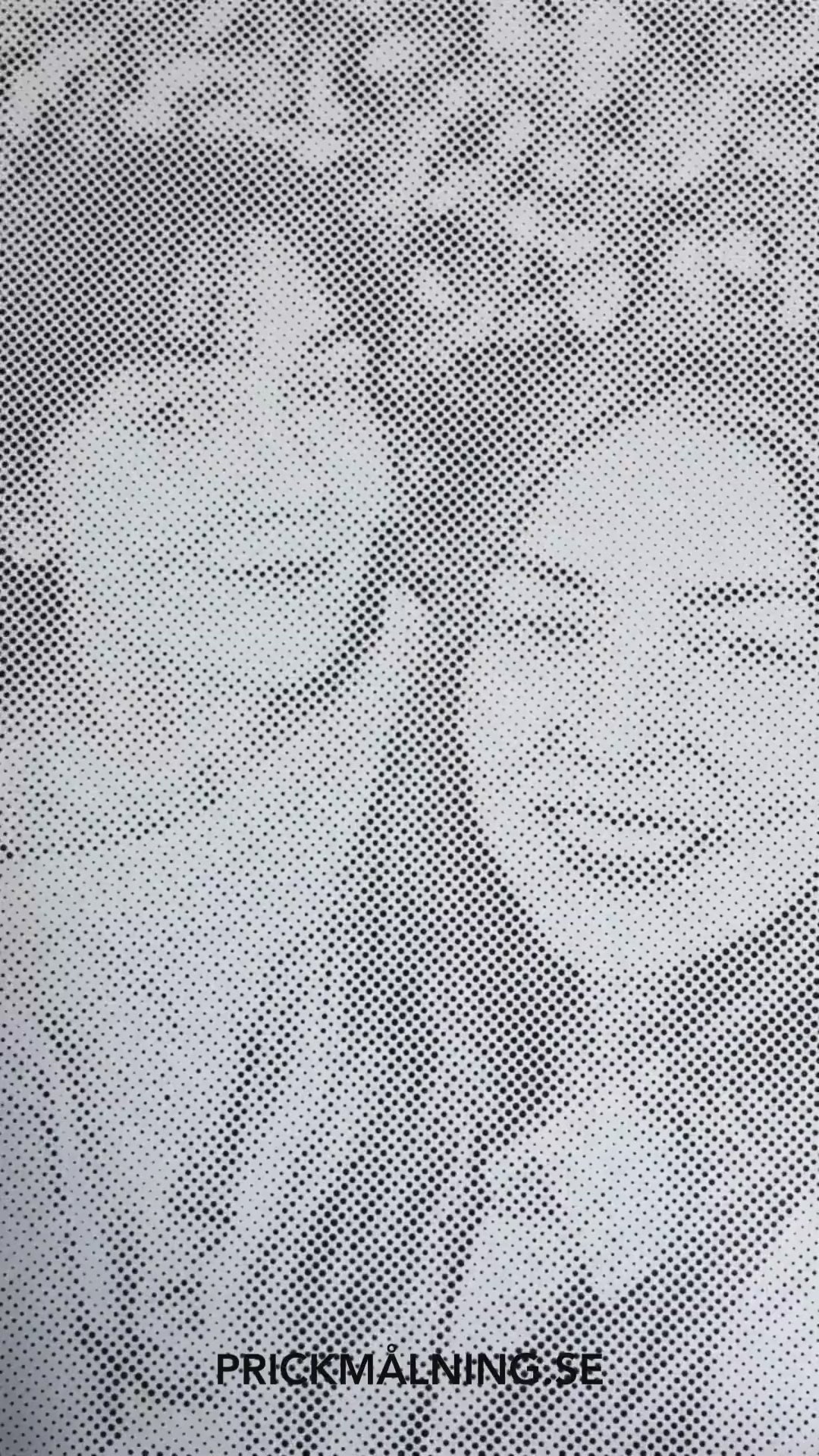 Instruktionsvideo: så gör du prickmålning steg för steg på canvas